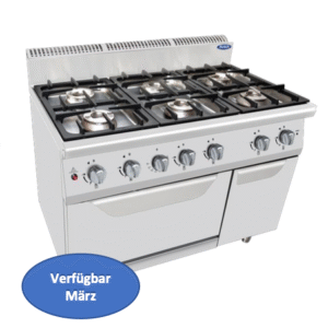 Cocina de gas de seis quemadores con horno de piso, modular serie 900  - AT9G6BO-2